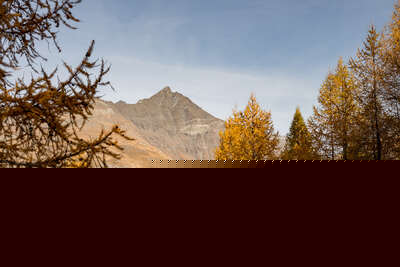 Aiguille de la Grande Sassière in autumn